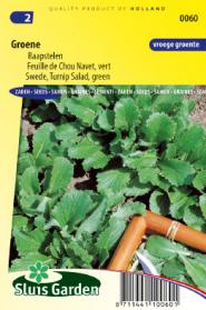 Raapsteel groene (Brassica) 2200 zaden